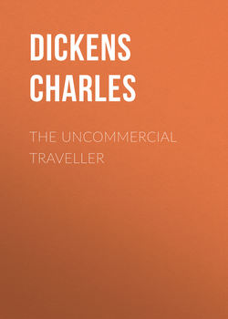 The Uncommercial Traveller