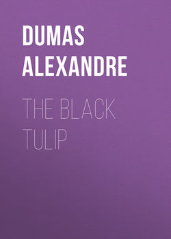 The Black Tulip