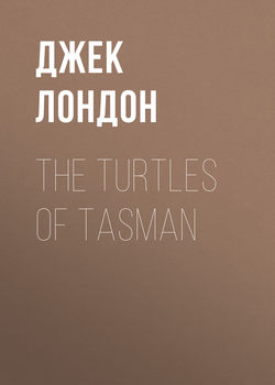 The Turtles of Tasman