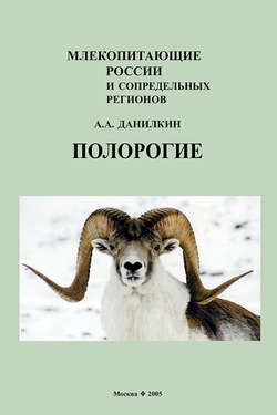 Полорогие (Bovidae)