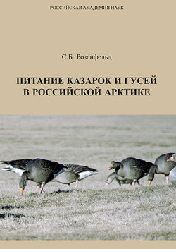 Питание казарок и гусей в Российской Арктике