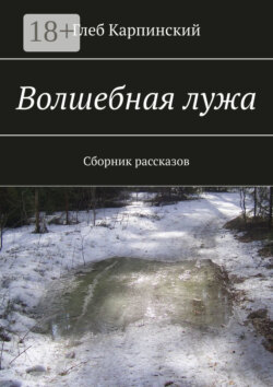 Волшебная лужа. Сборник рассказов