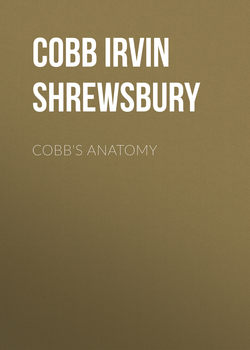 Cobb's Anatomy