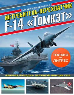 Истребитель-перехватчик F-14 «Томкэт». «Рабочая лошадка» палубной авиации США