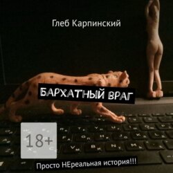 Бархатный враг. Просто НЕреальная история!!!