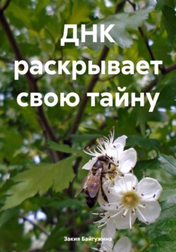 ДНК раскрывает свою тайну