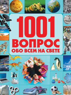 1001 вопрос обо всем на свете