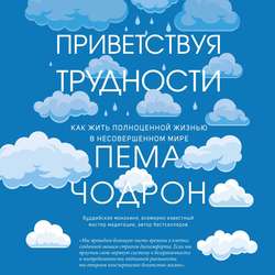 Приветствуя трудности. Как жить полноценной жизнью в несовершенном мире