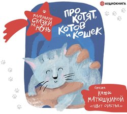 Про котят, котов и кошек