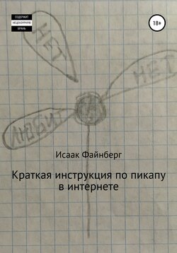 Краткая инструкция по пикапу в интернете