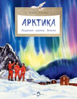 Арктика. Ледяная шапка Земли