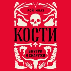 Кости: внутри и снаружи