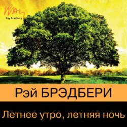 Летнее утро, летняя ночь (сборник)