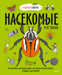 Насекомые и не только. От шмелей до навозных жуков: все ползуче-летучие факты, рекорды и достижения