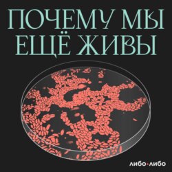 У нас замена: как научились пересаживать органы