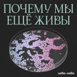 «Я все вижу: как мы научились пересаживать искусственный хрусталик глаза»