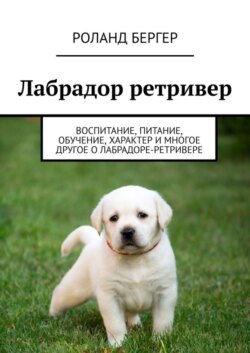 Лабрадор ретривер. Воспитание, питание, обучение, характер и многое другое о лабрадоре-ретривере