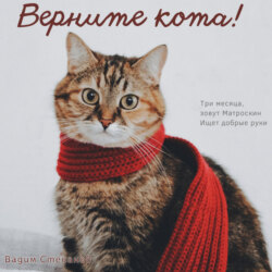 Верните кота