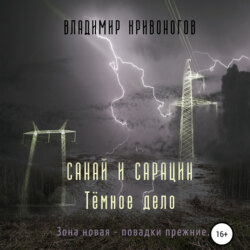 Владимир Кривоногов, Санай И Сарацин. Темное Дело – Слушать Онлайн.