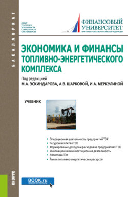 Экономика и финансы топливно-энергетического комплекса. (Бакалавриат). Учебник.