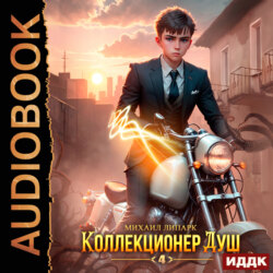 Коллекционер душ. Книга 4