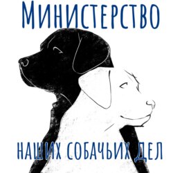 #7: Лакомства для собак: зачем нужны и кто их готовит?