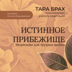 Истинное прибежище. Медитации для трудных времен