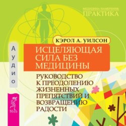 Исцеляющая сила без медицины. Руководство к преодолению жизненных препятствий и возвращению радости