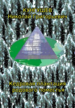 Кедровая плантация родового поместья