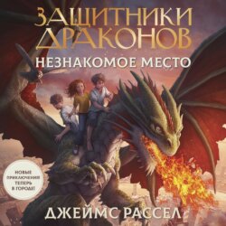 Защитники драконов. Незнакомое место