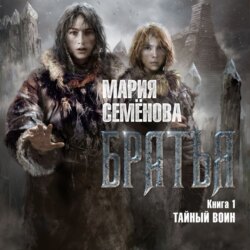 Братья. Книга 1. Тайный воин