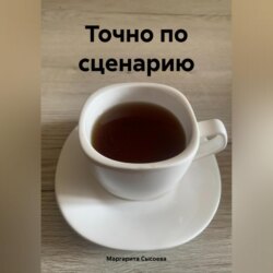 Точно по сценарию