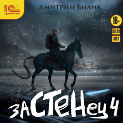 Застенец. Книга 4