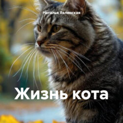 Жизнь кота