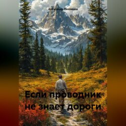 Если проводник не знает дороги