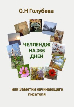 Челлендж на 366 дней, или Заметки начинающего писателя