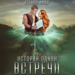 История одной встречи