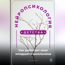 Нейропсихология детства: Как работает мозг младшего школьника