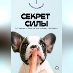 Секрет силы. Как находить энергию для больших свершений