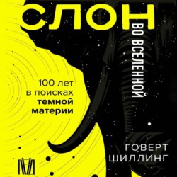 Слон во Вселенной. 100 лет в поисках темной материи