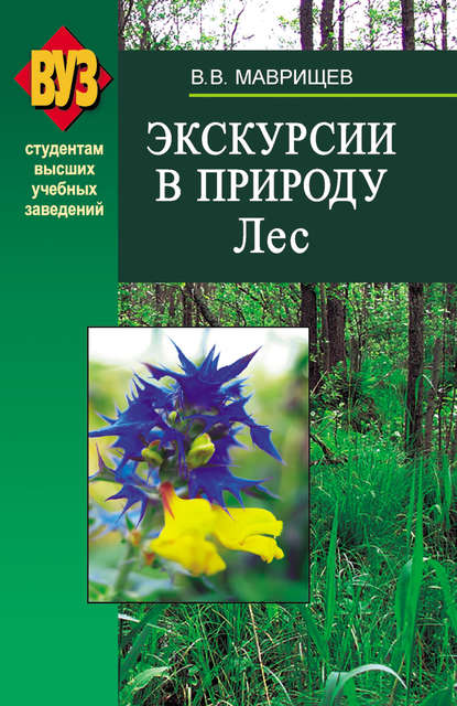 Экскурсии в природу. Лес