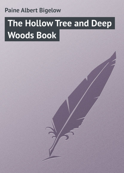 The Hollow Tree and Deep Woods Book