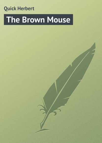 The Brown Mouse