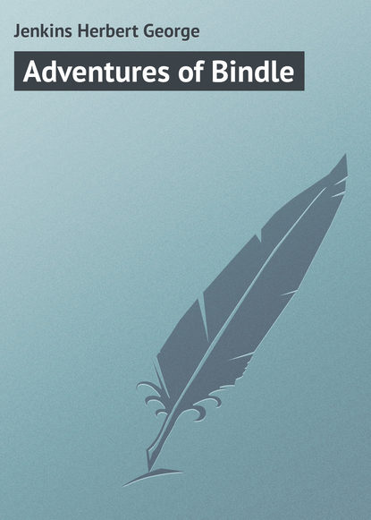 Adventures of Bindle