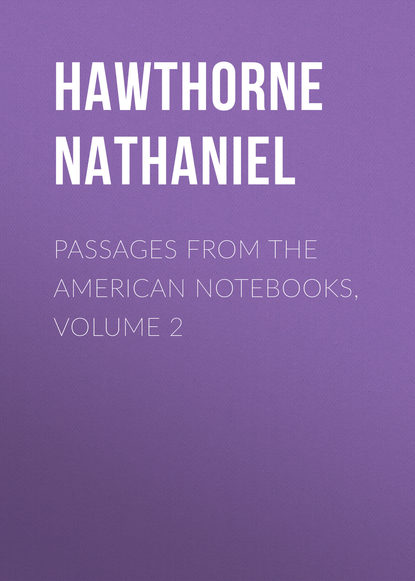 Passages from the American Notebooks, Volume 2