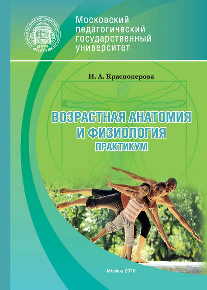 Возрастная анатомия и физиология. Практикум