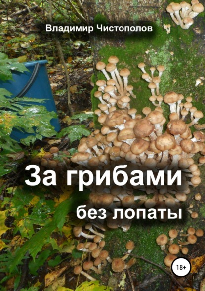 За грибами без лопаты