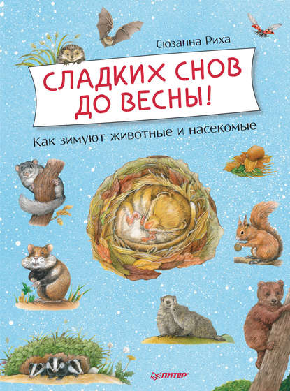 Сладких снов до весны! Как зимуют животные и насекомые