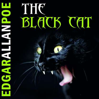 The Black Cat