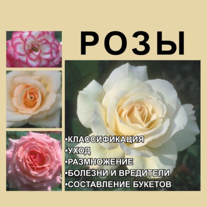 Розы